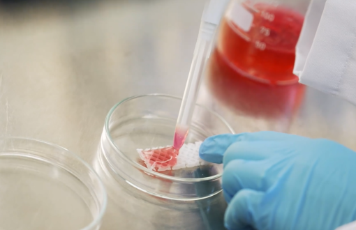 badanie laboratoryjne