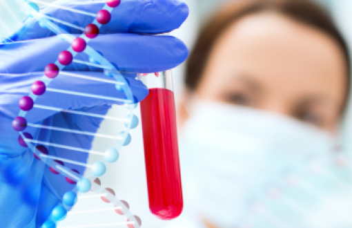 dłoń w rękawiczce trzymająca probówkę z czerwonym płynem